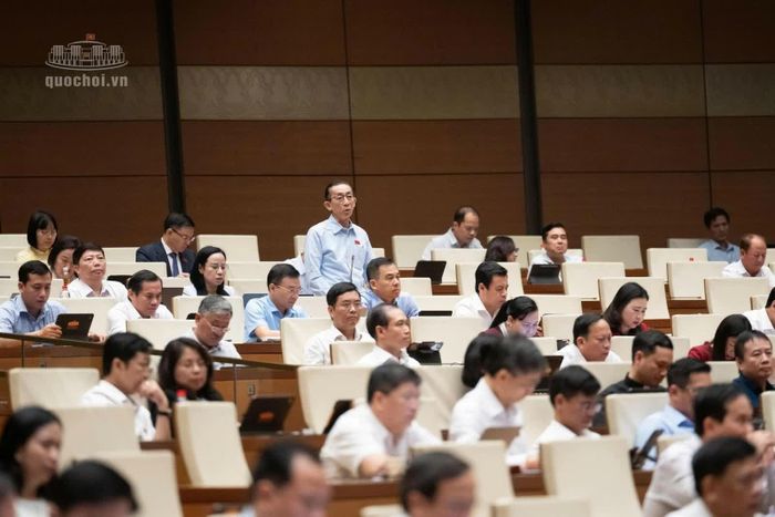 Đại biểu Trần Hoàng Ngân (đoàn TP.HCM) phát biểu tại Quốc hội.
