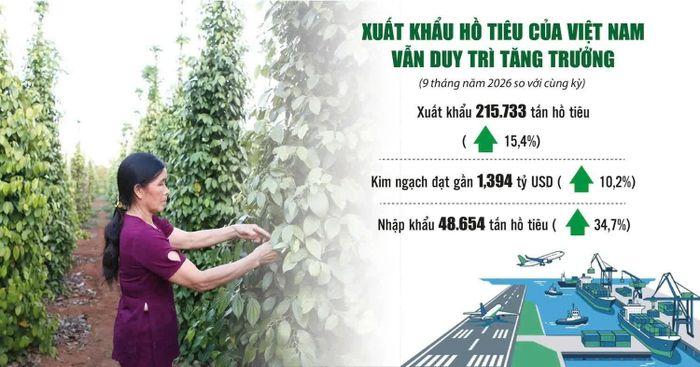 Nguồn: Hiệp hội Hồ tiêu và cây gia vị Việt Nam. Ảnh: Đức Thanh - Đồ họa: Phương Anh
