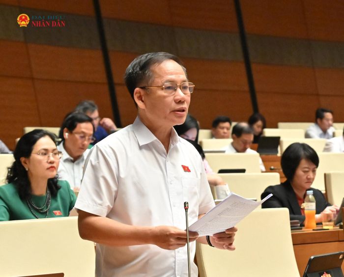ĐBQH Trần Đình Gia (tỉnh Hà Tĩnh) phát biểu tại Hội trường sáng 28/10. Ảnh: Q.Khánh