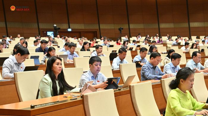 Các đại biểu tham dự phiên thảo luận. Ảnh: Q.Khánh