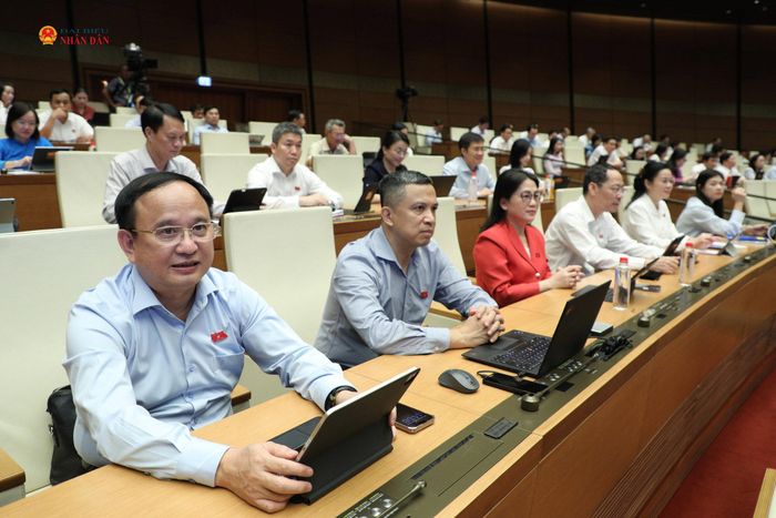 Các đại biểu tham dự tại phiên thảo luận tại Hội trường, chiều 28/10. Ảnh: Khánh Duy