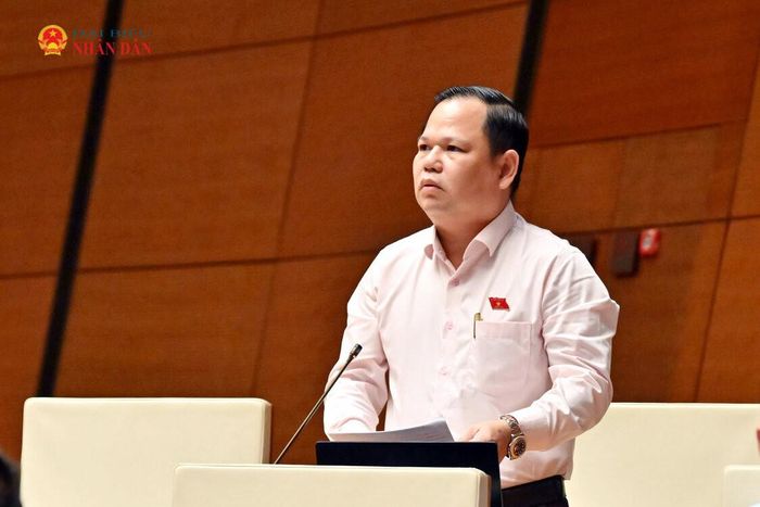 ĐBQH Nguyễn Duy Thanh (Cà Mau) phát biểu. Ảnh: Quang Khánh