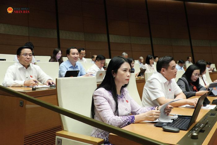 Các đại biểu tham dự phiên thảo luận. Ảnh: Khánh Duy