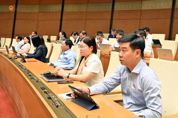 Các đại biểu tham dự phiên thảo luận. Ảnh: Q.Khánh