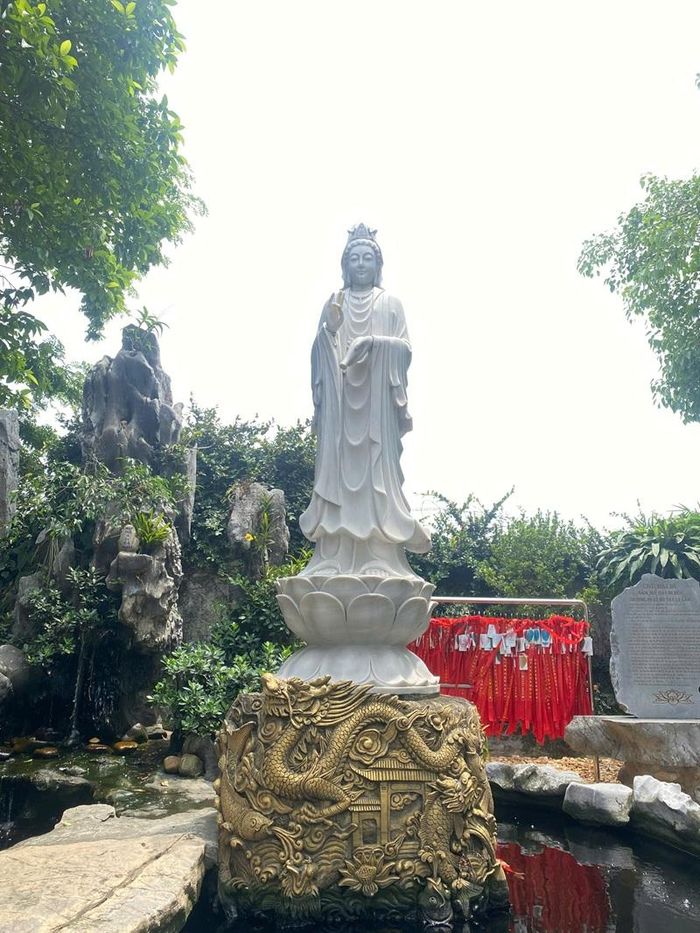 Ảnh minh họa - Thường Nguyên
