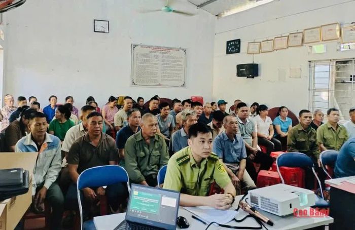 Các đại biểu dự hội nghị.