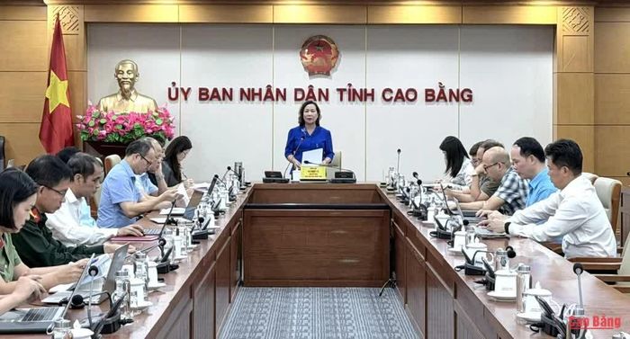 Phó Chủ tịch UBND tỉnh Hà Nhật Lệ phát biểu kết luận tại cuộc họp.