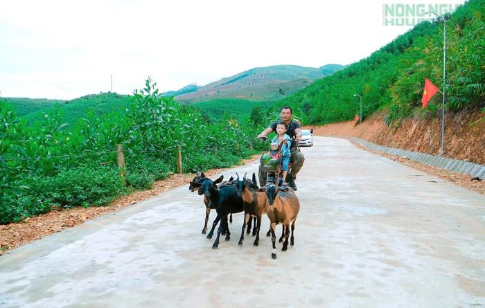 Con đường dài khoảng 700m, được đầu tư kinh phí gần 3 tỷ đồng.