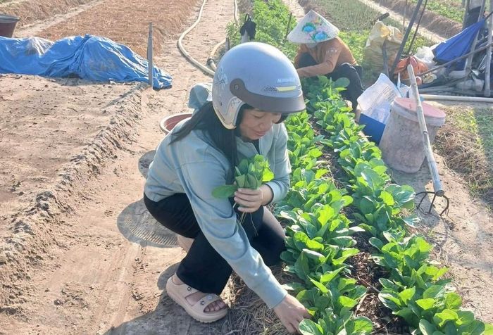 Mô hình này có thể góp phần hình thành thói quen sản xuất có trách nhiệm, tiết kiệm chi phí và sử dụng tài nguyên hiệu quả