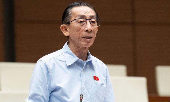 Đại biểu Trần Hoàng Ngân (đoàn TP.HCM).