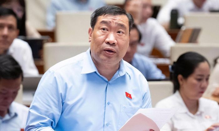 Đại biểu Thạch Phước Bình.