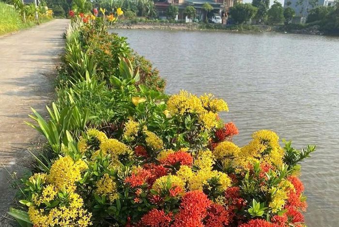 Tuyến đường hoa là những mảng xanh trải dài, nhiều sắc hoa khác nhau, tạo không gian đẹp, môi trường trong lành. Ảnh: PV