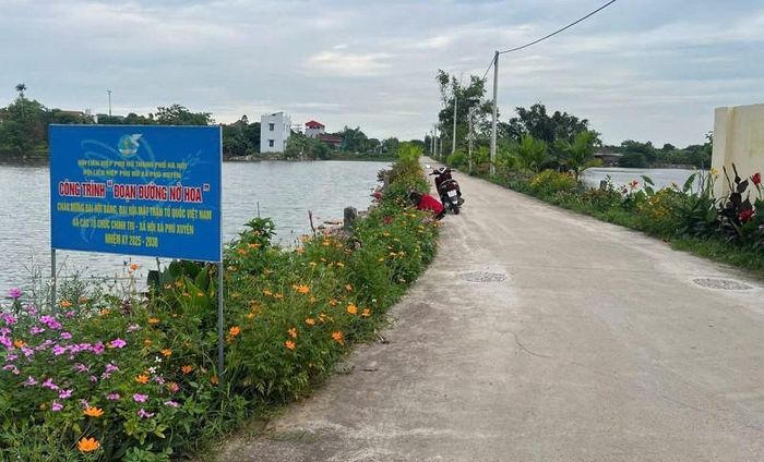 Tuyến đường hoa tại thôn Thuỵ Phú, xã Phú Xuyên tạo cảnh quan môi trường sạch, đẹp, sắc hoa rực rỡ. Ảnh: PV