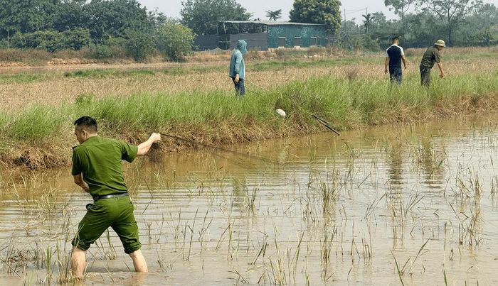 Công an xã Kiều Phú (thành phố Hà Nội) thu giữ lưới săn bắt chim hoang dã. Ảnh: HNM.