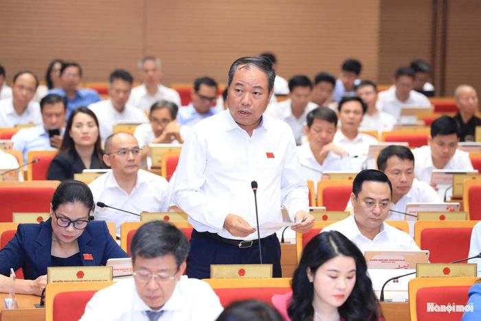 Đại biểu Trần Thọ Hiển phát biểu ý kiến tại kỳ họp.