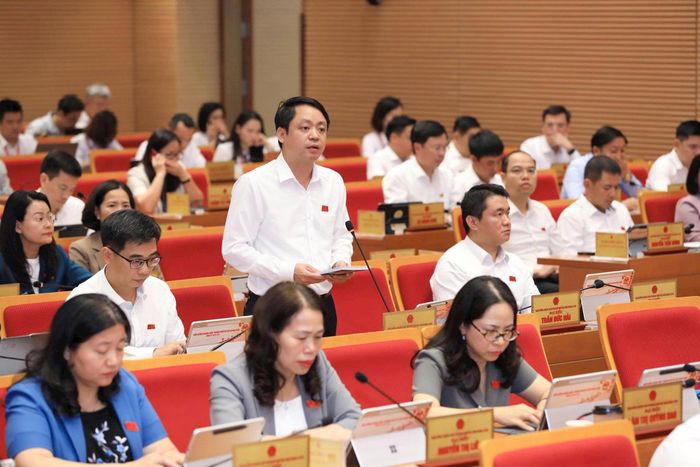 Đại biểu Nguyễn Danh Phúc phát biểu thảo luận. Ảnh: Thái Thành Hùng.