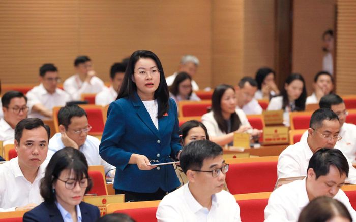 Đại biểu Phạm Thị Thanh Hương. Ảnh: Thái Thành Hùng