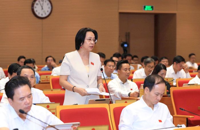 Đại biểu Nguyễn Lan Hương. Ảnh: Thái Thành Hùng.