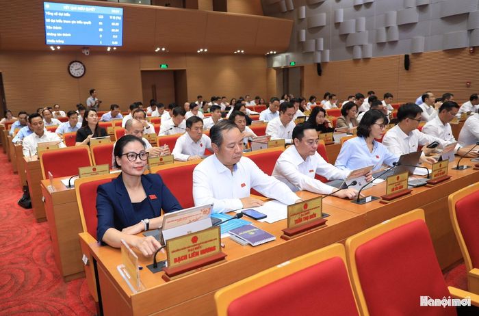 Các đại biểu biểu quyết thông qua nghị quyết. Ảnh: Thành Thái Hùng