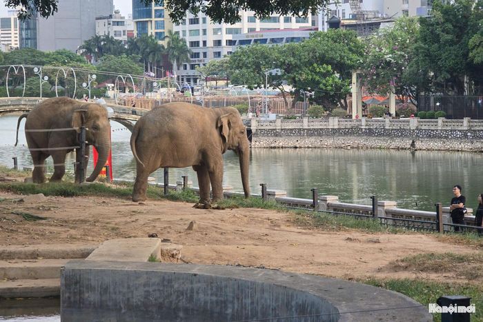 Theo quy hoạch, công viên Thủ Lệ sẽ có diện mạo mới, tăng khả năng tiếp cận không gian xanh và thay đổi cách thức tương tác với động vật.