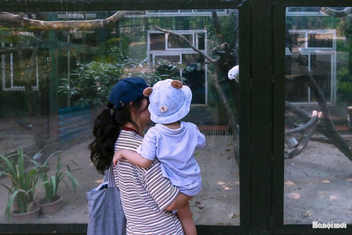 Theo Phó Tổng Giám đốc Công ty TNHH MTV Vườn thú Hà Nội Nguyễn Minh Quyết, một trong những thay đổi lớn của công viên Thủ Lệ sẽ nằm ở phân khu chuồng chim. “Hiện tại đang ở giai đoạn lấy ý kiến, chúng tôi đề xuất cải tạo chuồng chim thành không gian lớn có lưới bao quanh, tương tự mô hình công viên Bird Paradise (Singapore); bố trí cầu cạn để du khách quan sát voi, thú móng guốc từ trên cao, tiếp cận gần hơn với động vật mà vẫn bảo đảm an toàn".