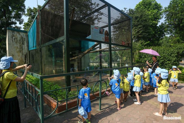 Ghi nhận tại Công viên Thủ Lệ, dù là ngày trong tuần, công viên vẫn đón nhiều đoàn học sinh tới tham quan. Nơi đây đang chăm sóc khoảng hơn 600 cá thể của gần 90 loài động vật khác nhau.