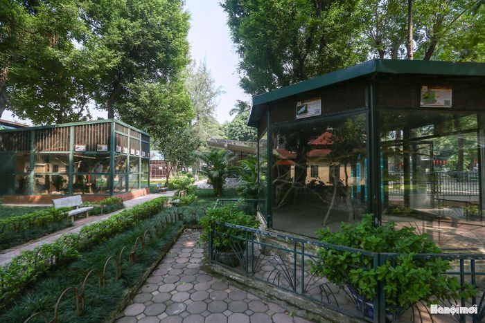 Ông Nguyễn Minh Quyết cho biết thêm, định hướng mở rộng vườn thú theo mô hình bán hoang dã đòi hỏi tiêu chuẩn an toàn rất cao. Rủi ro thú sổng chuồng ít khi đến từ yếu tố chủ quan mà thường do thiên tai khách quan (như bão lớn làm cây đổ gãy đè hỏng hàng rào bảo vệ). Các tình huống này cũng được tính đến để xây dựng phương án ứng phó, bảo đảm an toàn ở mức cao nhất.