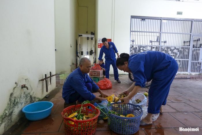 Các loại thức ăn đều trải qua khâu kiểm định chất lượng nghiêm ngặt trước khi chia thành từng phần riêng biệt cho từng cá thể.