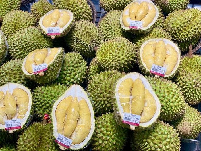 Trong những năm gần đây, sầu riêng cũng nổi lên như một mặt hàng nông sản xuất khẩu chủ lực của Việt Nam.