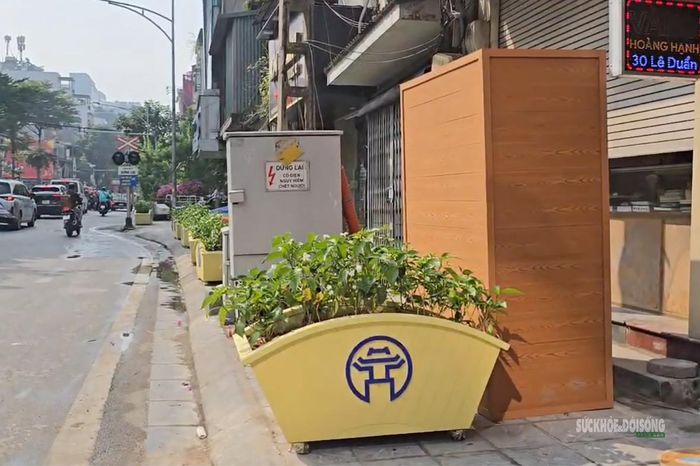 Bồn cây đặt sát mép đường, xen lẫn tủ điện và các vật dụng khác… Ảnh: Tuấn Anh