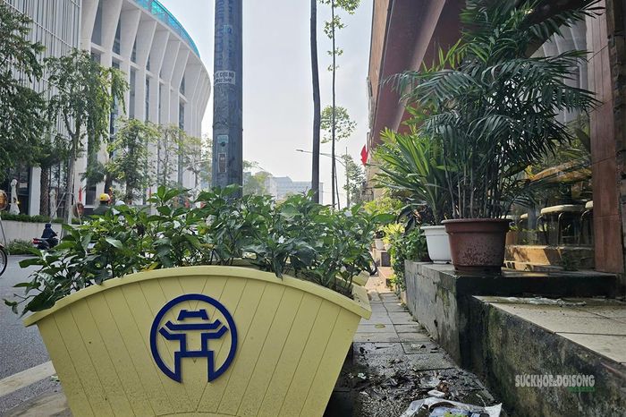 Bồn cây chiếm phần đáng kể chiều ngang vỉa hè, chỉ để lại lối đi nhỏ hẹp sát bậc thềm nhà dân. Ảnh: Tuấn Anh