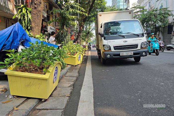 Bồn cây thu hẹp lối đi dành cho người đi bộ. Ảnh: Tuấn Anh