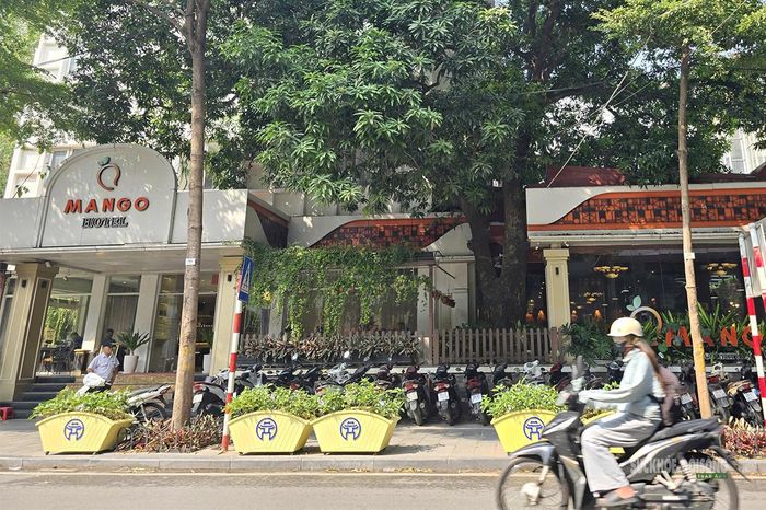 Những bồn cây cảnh lớn đặt sát mép đường, kéo dài dọc vỉa hè phố Lê Duẩn.