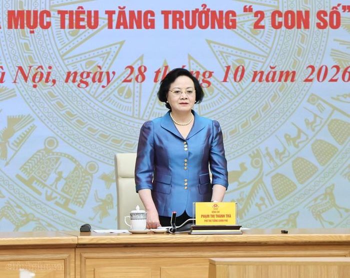 Phó Thủ tướng Phạm Thị Thanh Trà phát biểu mở đầu buổi làm việc. Ảnh: chinhphu.vn/Thu Giang