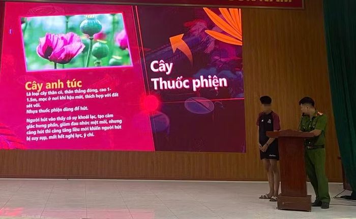 Công an xã Mê Linh (Hà Nội) hướng dẫn các em thanh thiếu niên chưa ngoan nhận diện các loại ma túy và tác hại