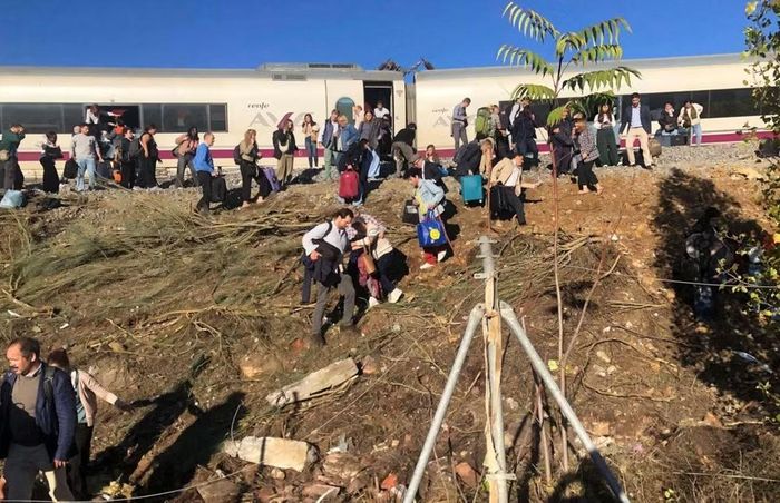 LZB có nhiệm vụ giám sát tốc độ, kiểm soát hành trình và tự động kích hoạt phanh khẩn cấp khi phát hiện nguy cơ mất an toàn.