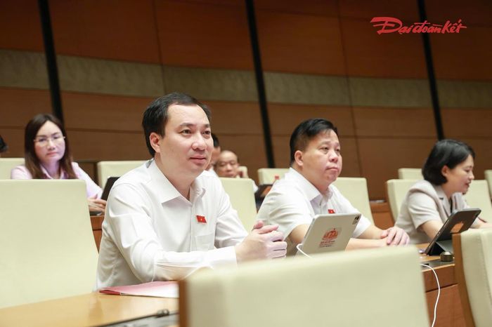 Các đại biểu tham dự phiên thảo luận (Ảnh: Quang Vinh)