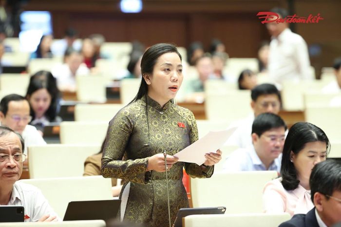 Bà Triệu Thị Ngọc Diễm phát biểu (Ảnh: Quang Vinh)