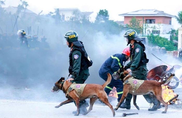 Chó nghiệp vụ phối hợp thực hành xử lý tình huống giả định.