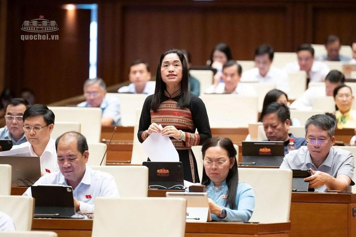 Đại biểu Cil Bri, đoàn ĐBQH tỉnh Lâm Đồng phát biểu