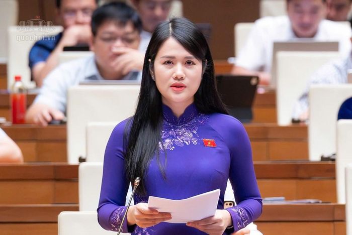 Đại biểu Vương Thị Hương, đoàn ĐBQH tỉnh Tuyên Quang phát biểu