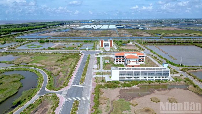 Các cấp chính quyền tỉnh Cà Mau đang nỗ lực để hoàn thiện dần hạ tầng các vùng nuôi tôm trọng điểm trong tỉnh để phục vụ cho ngành nghề "mũi nhọn" của địa phương. (Ảnh: HỮU TÙNG)