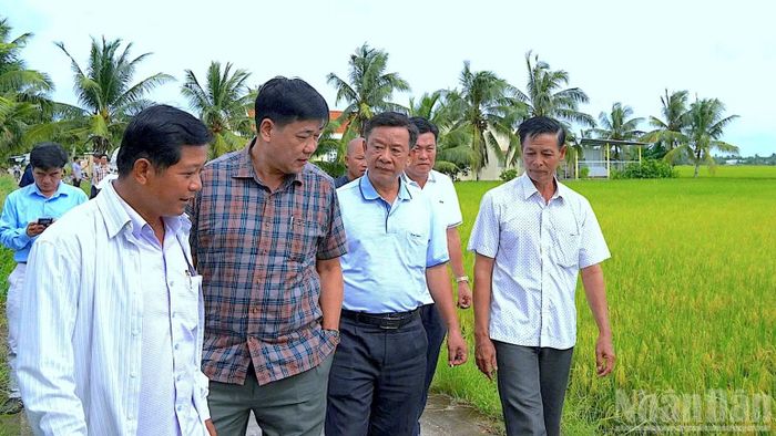 Ủy viên Ban Thường vụ Tỉnh ủy, Trưởng ban Tuyên giáo Tỉnh ủy Cà Mau Hồ Trung Việt (thứ 3 từ trái qua) thị sát nắm tình hình sản xuất trong dân. (Ảnh: HỮU TÙNG)