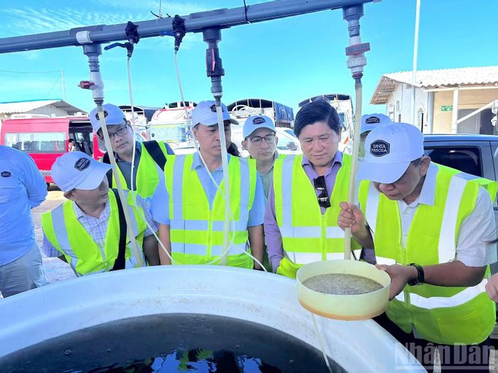 Đồng chí Hồ Trung Việt (bên phải) cùng các thành viên trong đoàn công tác của tỉnh Cà Mau tham quan quy trình sản xuất tôm giống trước khi đưa vào ao nuôi thương phẩm tại Ecuador. (Ảnh: HỒ VIỆT)