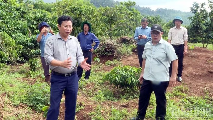 Lãnh đạo tỉnh Lâm Đồng kiểm tra thực tế tình hình sạt lở đất ở khu vực phía tây tỉnh vào mùa mưa 2026. (Ảnh: BẢO VĂN)
