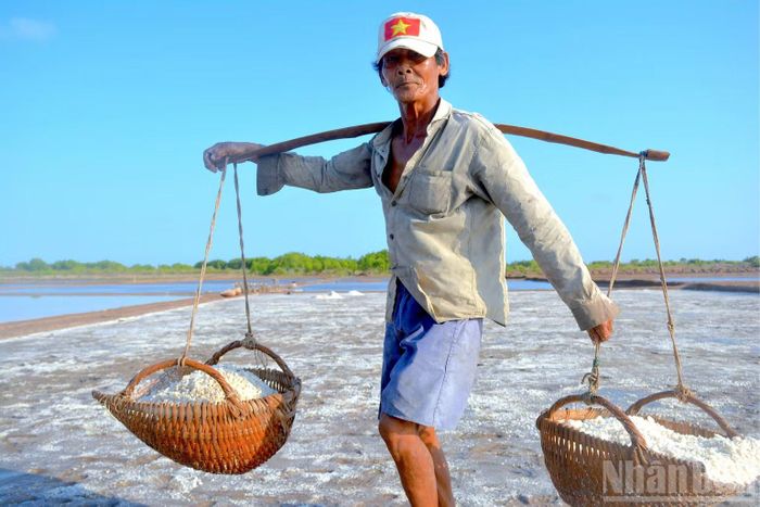 Dù đối mặt nhiều vất vả, diêm dân vùng ven biển Cà Mau vẫn quyết tâm bám biển, gìn giữ và phát huy Nghề làm muối - Di sản văn hóa phi vật thể quốc gia. (ảnh HỮU TÙNG).
