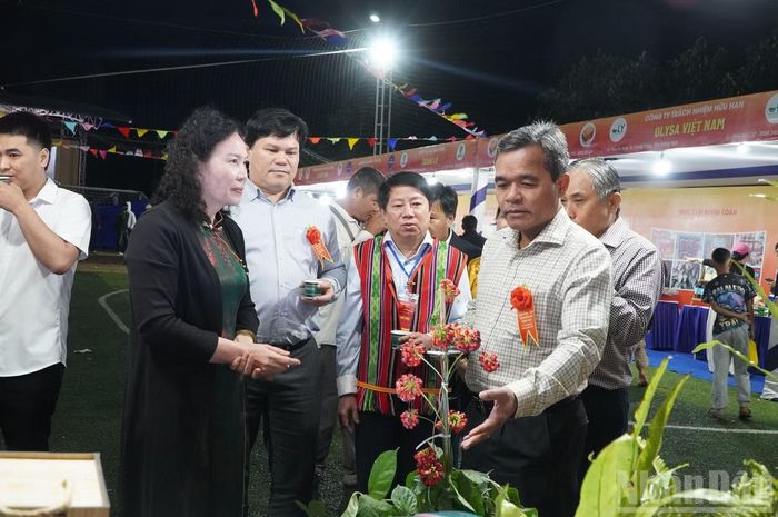 Đồng chí Hồ Văn Niên, Ủy viên Trung ương Đảng, Bí thư Tỉnh ủy Quảng Ngãi tham quan các gian hàng trưng bày sâm Ngọc Linh. (Ảnh: HIỂN CỪ)
