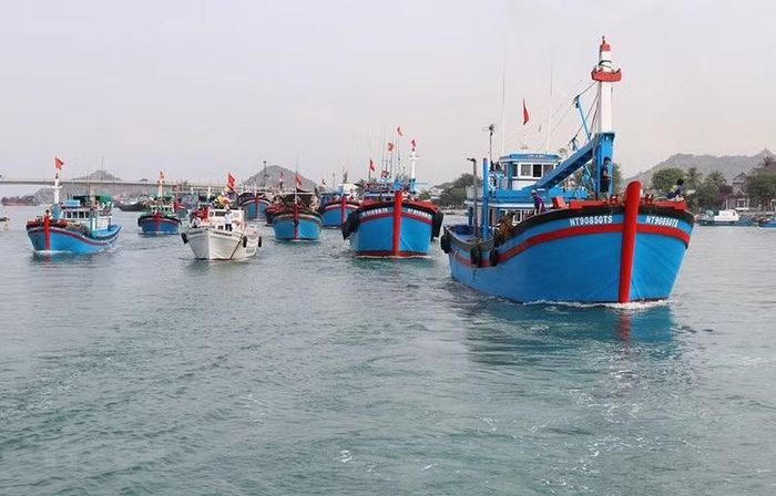 Hoạt động khai thác thủy sản biển diễn ra thuận lợi trong giai đoạn cuối vụ cá Nam góp phần bảo đảm nguồn cung phục vụ tiêu dùng và chế biến xuất khẩu. (Ảnh: NGUYỄN THÀNH)