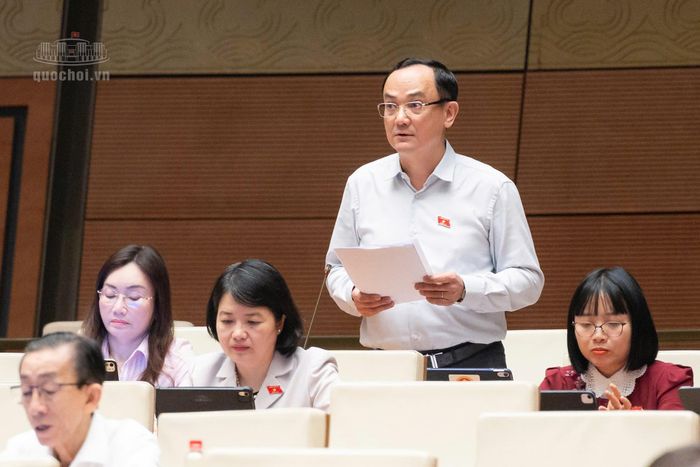 Đại biểu Nguyễn Ngọc Sơn phát biểu. Ảnh: quochoi.vn