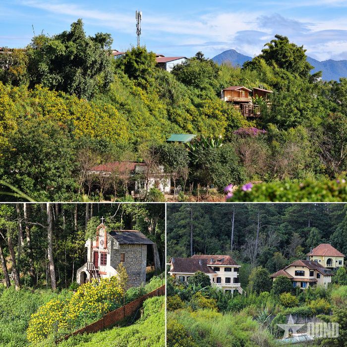  Hoa bên đời.